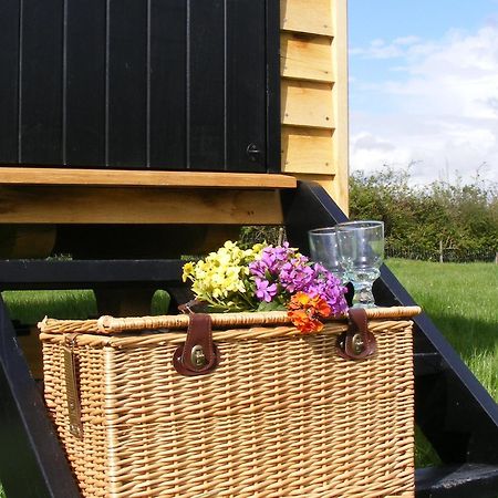 Marshwood Farm B&B And Shepherds Hut Dinton  Eksteriør billede