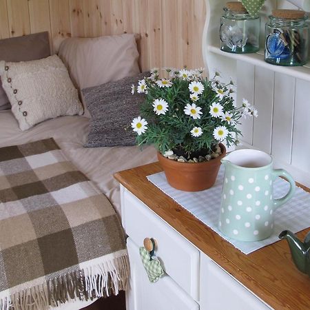 Marshwood Farm B&B And Shepherds Hut Dinton  Eksteriør billede