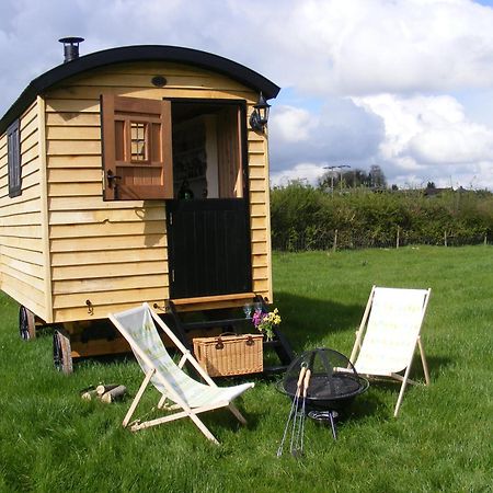 Marshwood Farm B&B And Shepherds Hut Dinton  Eksteriør billede