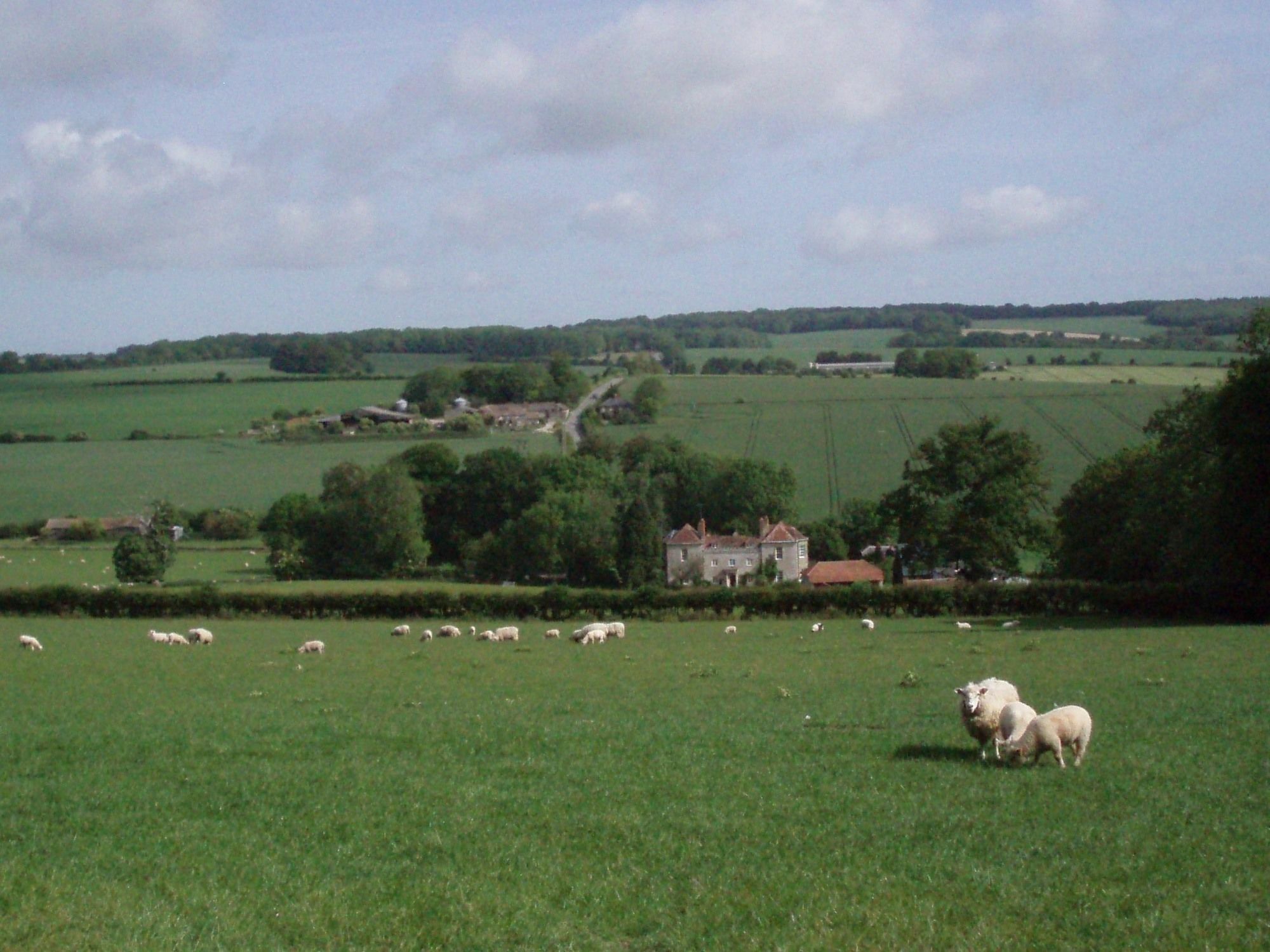 Marshwood Farm B&B And Shepherds Hut Dinton  Eksteriør billede